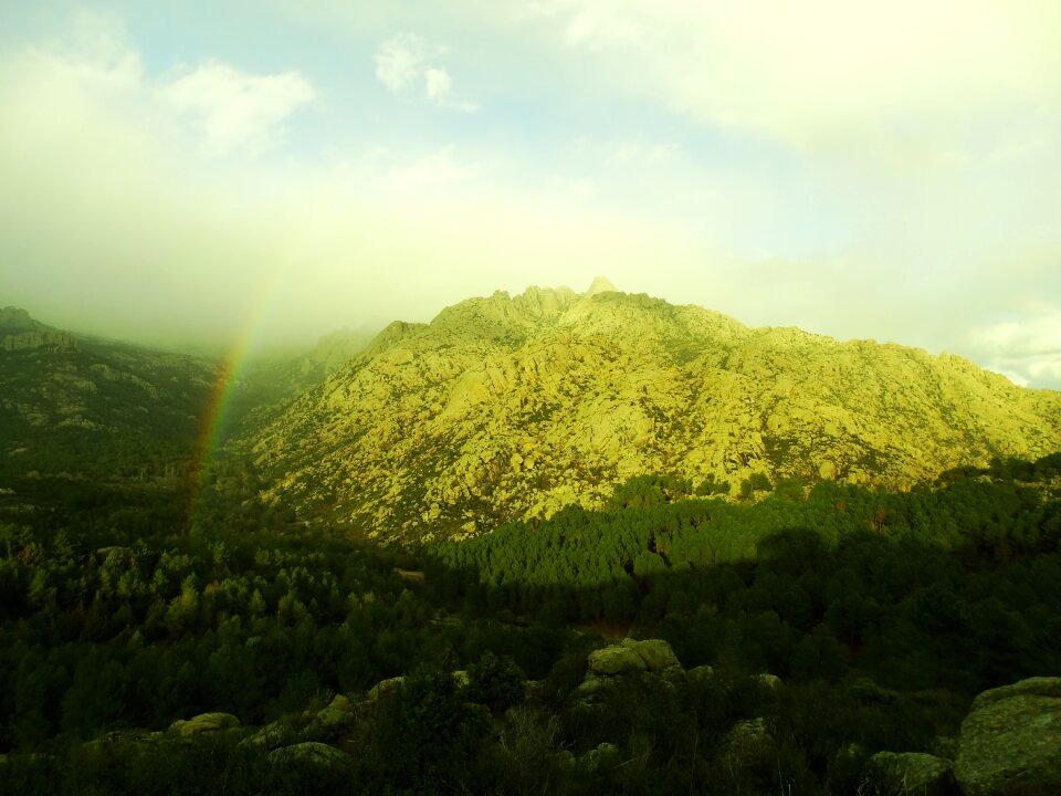 Mountain forest pedriza