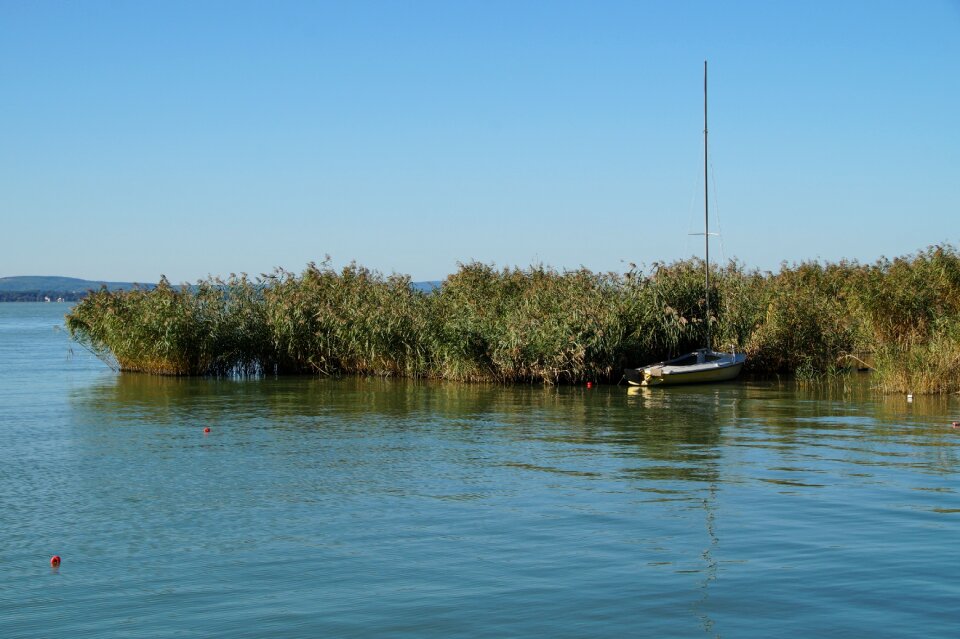 Reeds rowboat sailing boat