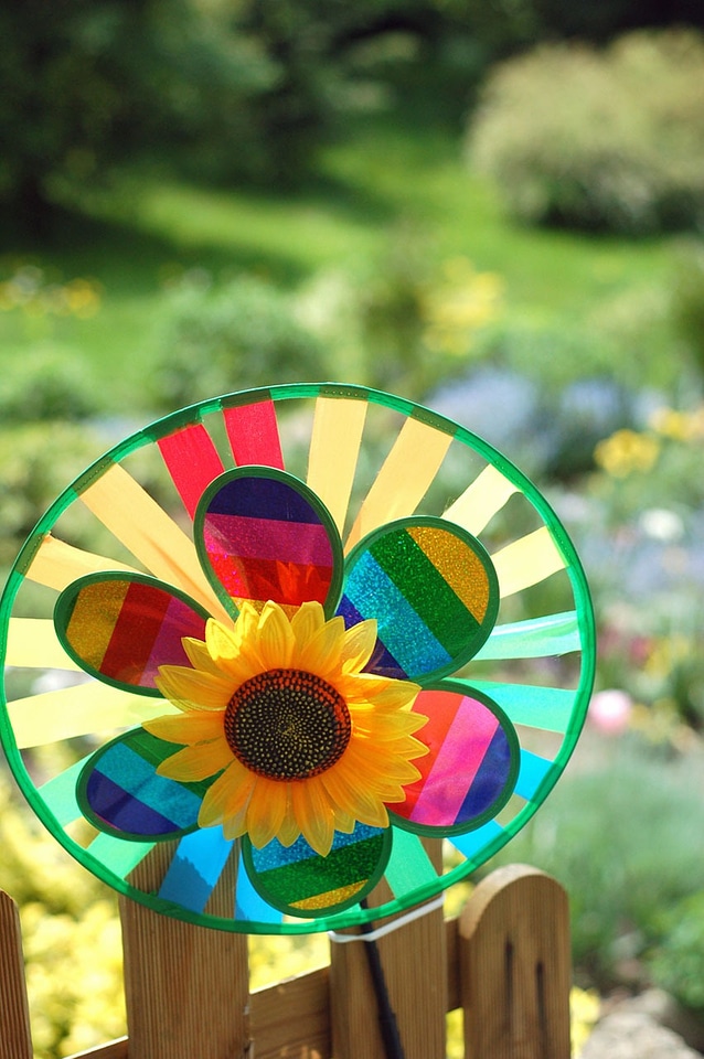 Flower sunflower wind