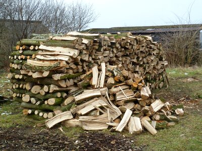 Holzstapel growing stock timber photo