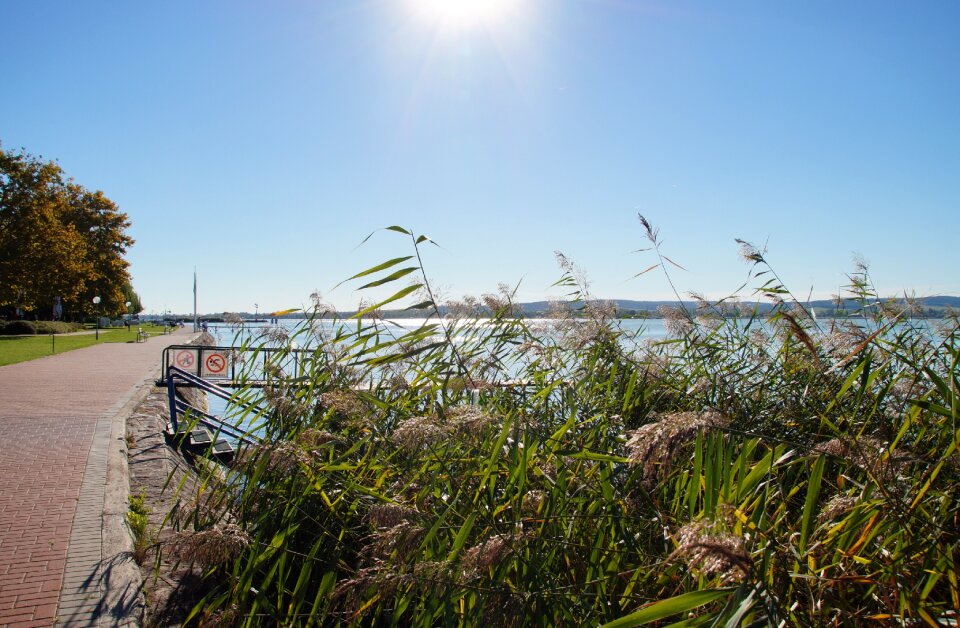 Reeds promenade coast