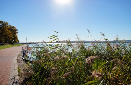 Reeds promenade coast