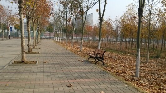 Stroll bench parking