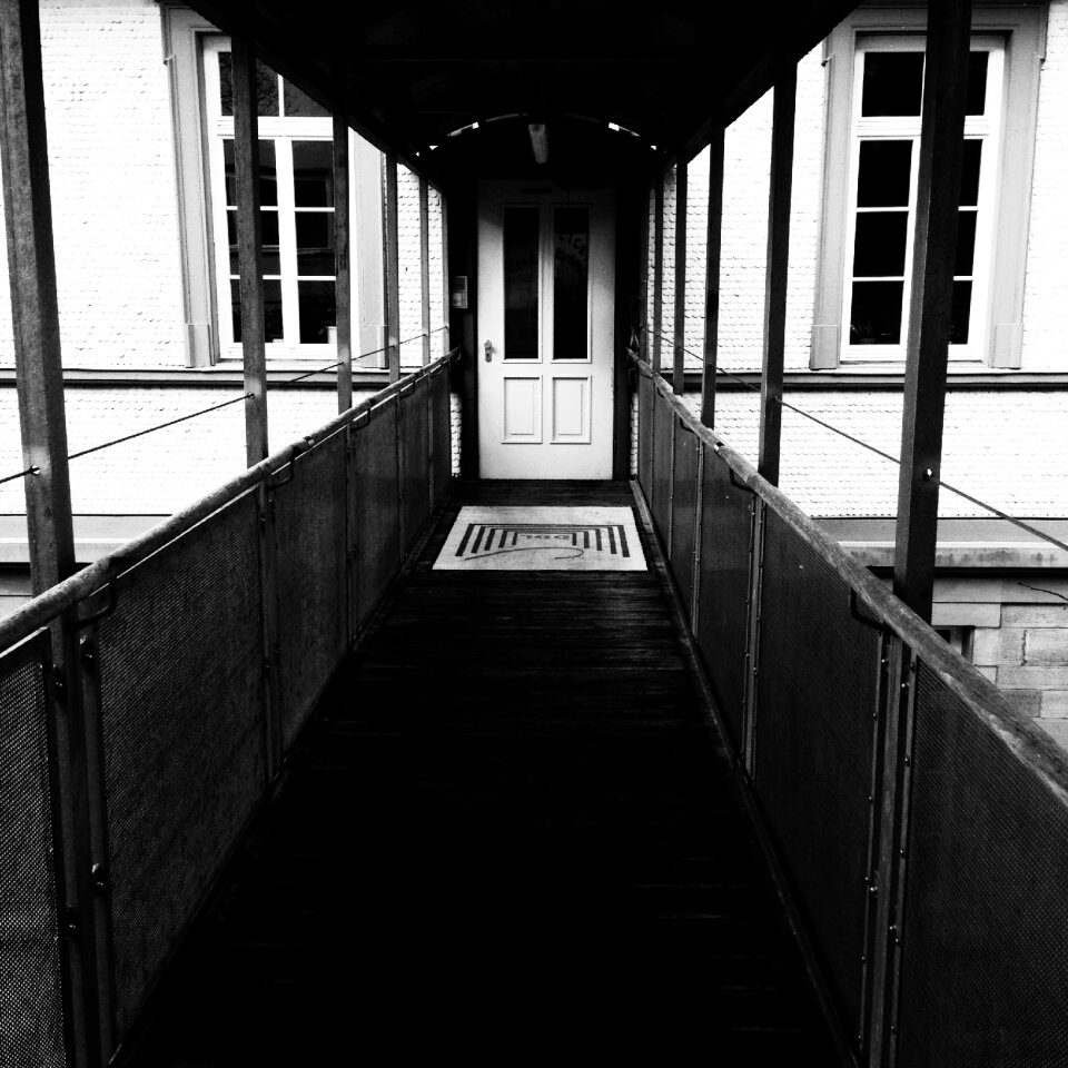 Web away black and white