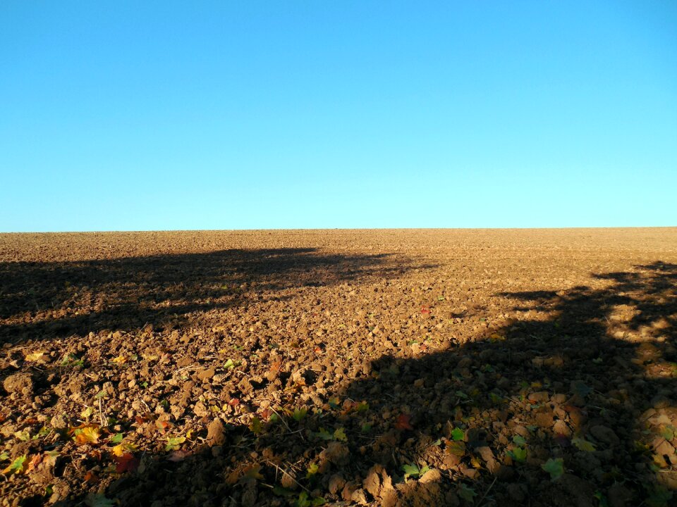 Agriculture harvest horizon