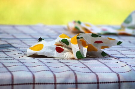 Fly napkin picnic