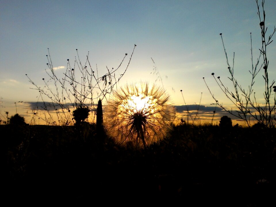 Sunset field backlight