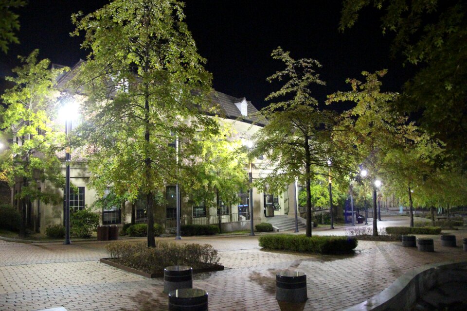 Home street lights night photo