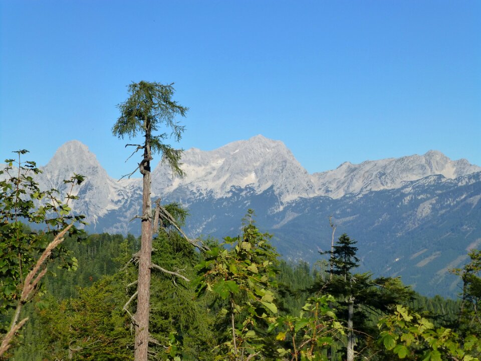 Nature view austria