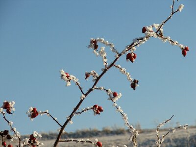 Winter nature slovakia