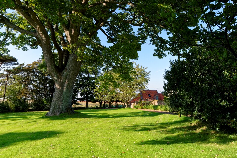 Green landscape outdoor