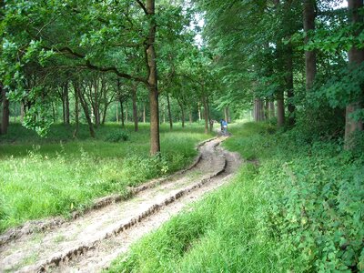 Walking path green park photo