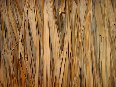 Texture straw hut