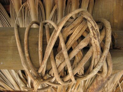 Hut bejuco knot
