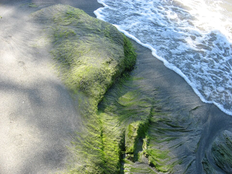 Waves landscape beach