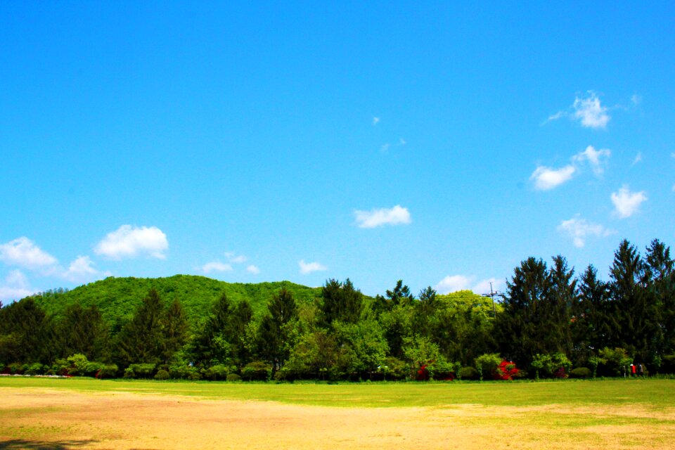Arboretum field garden