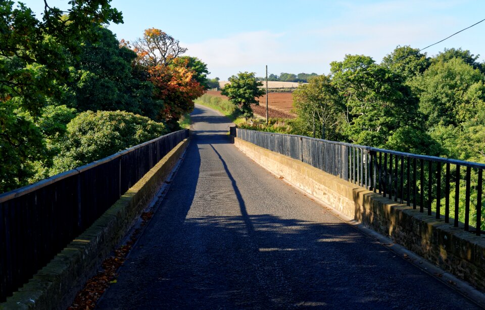 Country road landscape