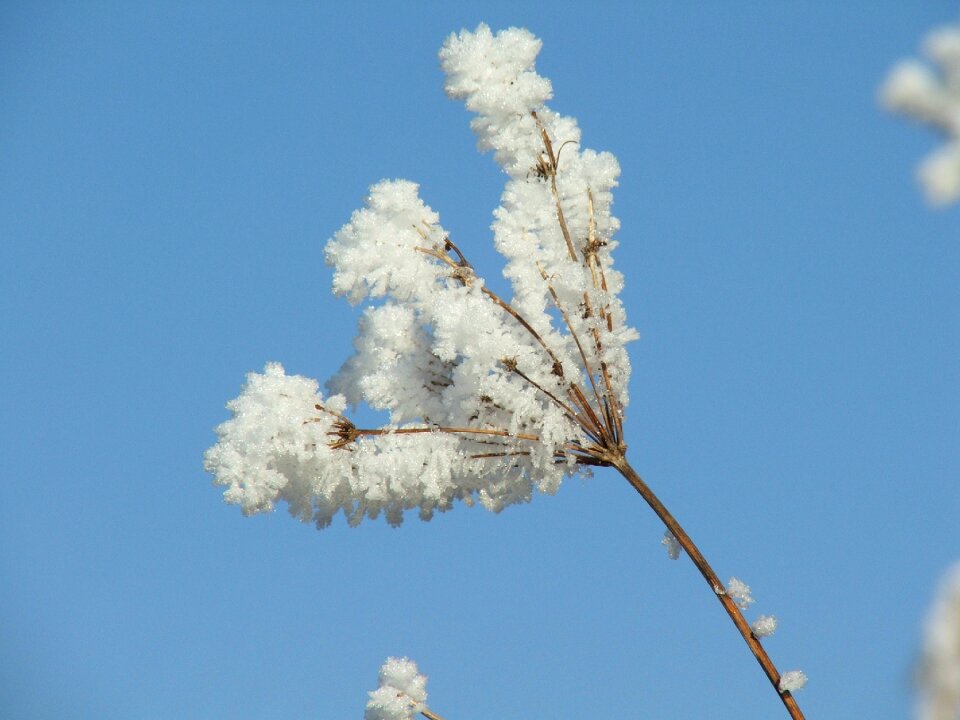 Winter slovakia liptov