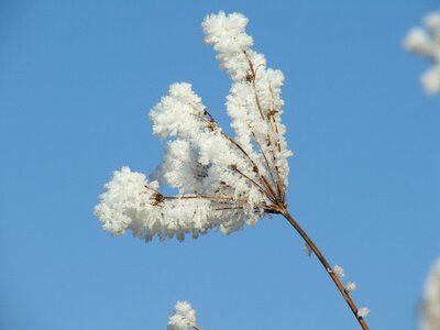 Winter slovakia liptov