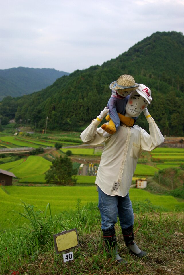 Asuka village rice terraces scarecrow contest