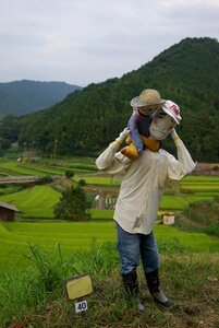 Asuka village rice terraces scarecrow contest