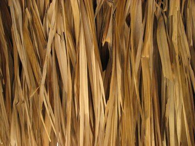 Texture straw hut