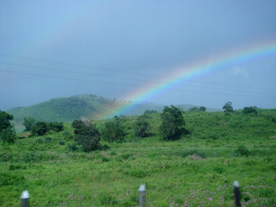 Rainbow vegetation nature