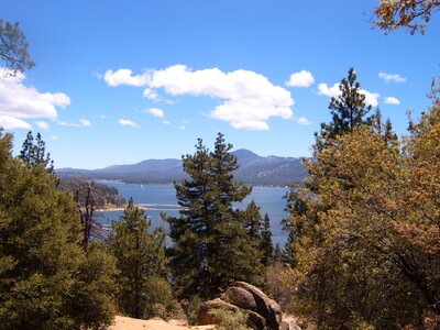 Wild wilderness california