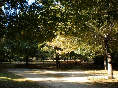 Park autumn the rambleta