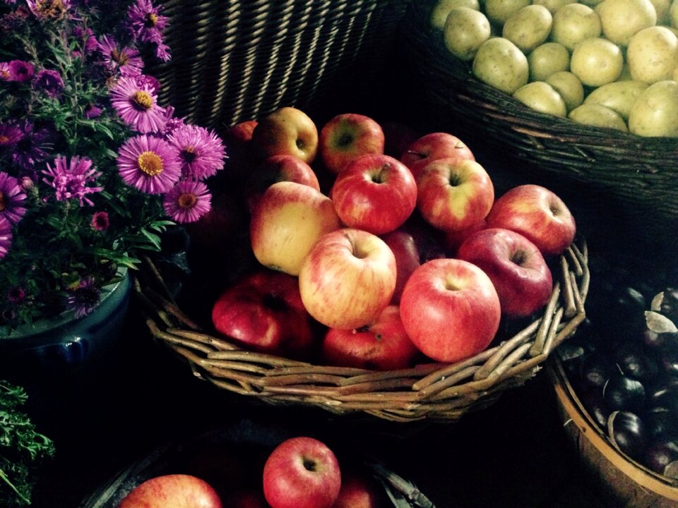 Basket thanksgiving harvest