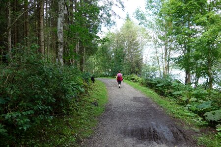 Woman landscape walk