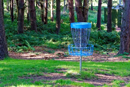 Forest netting target photo