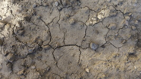 Ground parched cracks photo