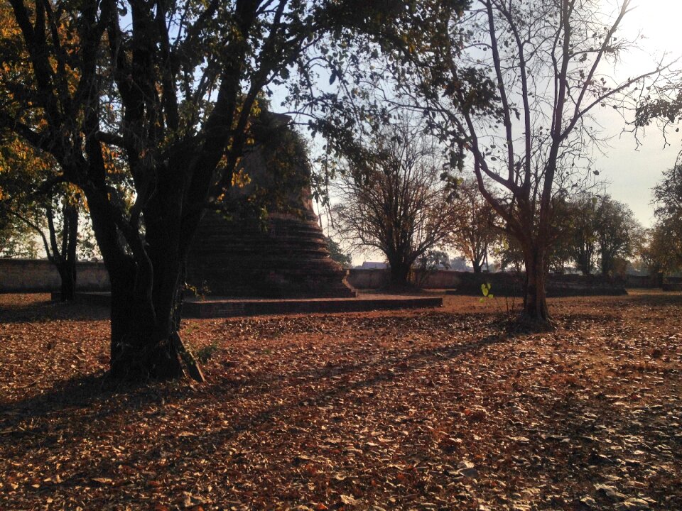 Park tourism old