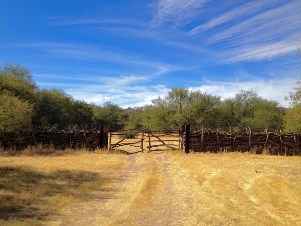 Nature blue southwest