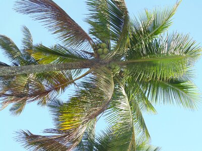 Nature blue sky landscape photo