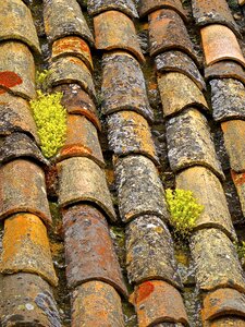 Tiled rooftop ceramic photo