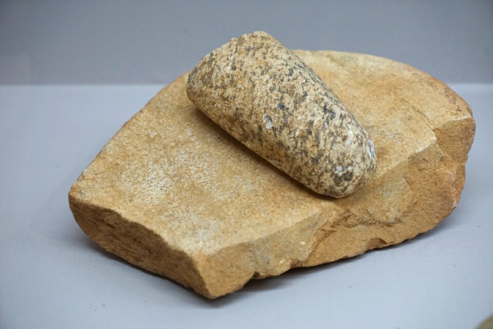 Acorn processing stone the breadwinner