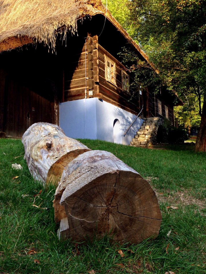The museum rural architecture a tree log