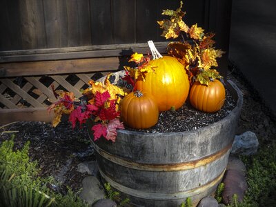 Thanksgiving decoration october