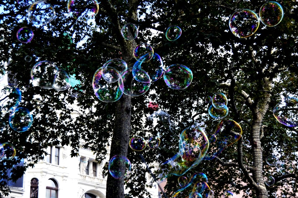 London england bubble trees