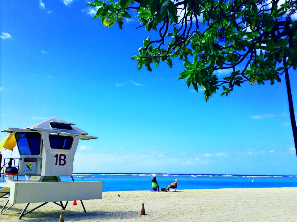 Summer beach hawaii
