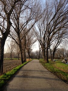 Leisure strollers park