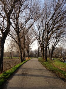 Leisure strollers park photo