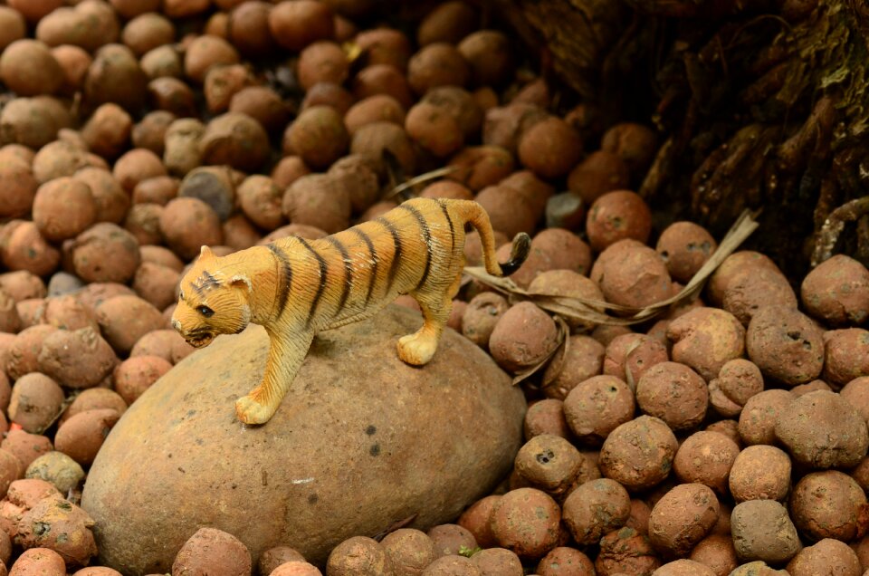Nature background toy