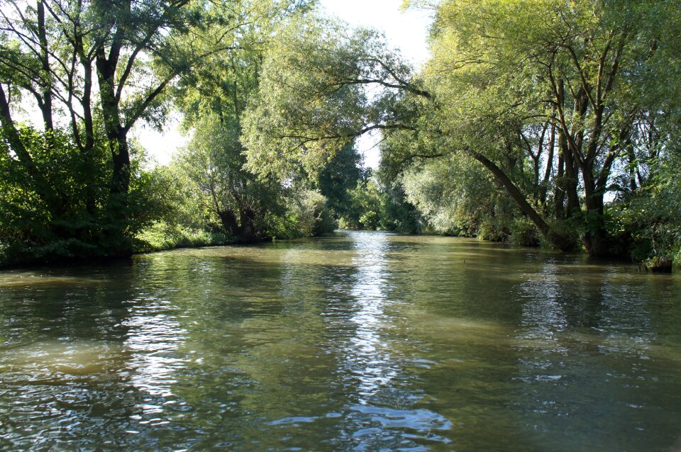 Water creek cruise