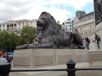 Lion tourists crowded photo