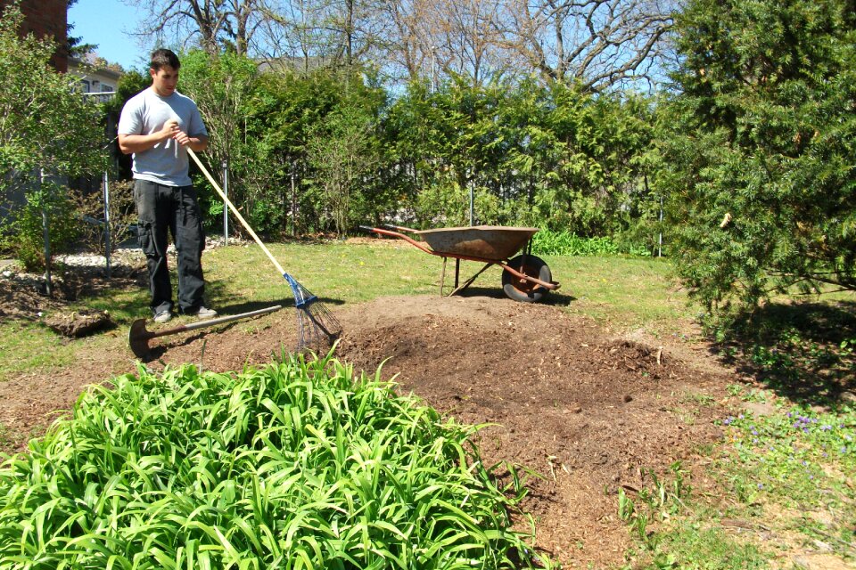 Horticulture seeding lawn