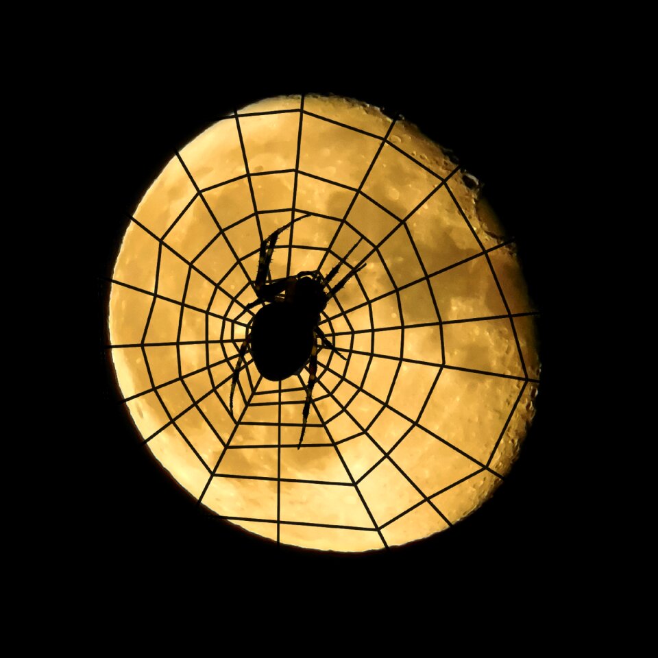 Halloween dreiviertelmond decreasing moon