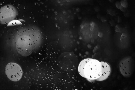 Drops of water the light black and white photo